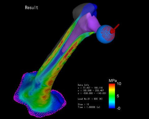 Mechanical Finder Application